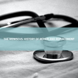 Prof. Dr. Rene Verdong / The Meniscus: History of Repair and Replacement
